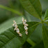 Sweet leaf flower inlay copper zircon ear studs
