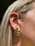 Shell design 18K Gold Plated Ear Studs
