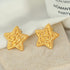Pentagram 18k gold plated ear studs