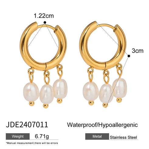 1 Pair Casual Vacation Simple Style Pearl 304 Stainless Steel PVD Coated Drop Earrings